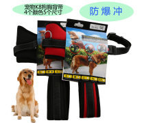 金色品質(zhì)，寵愛無價 探索高端寵物用品世界